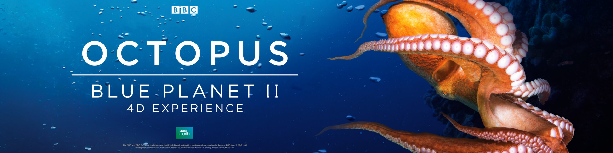 OCTOPUS: BLUE PLANET II 4D EXPERIENCE