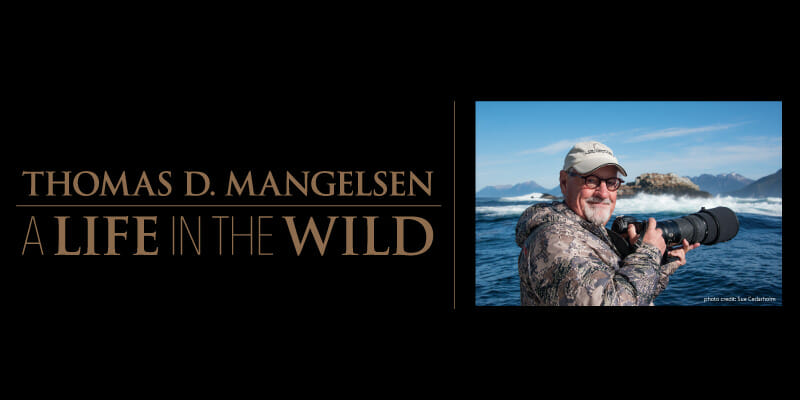 Detroit Zoo Event - A Life in The Wild - Thomas D. Mangelsen