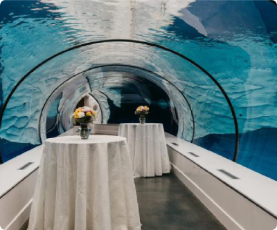 Arctic Ring of Life