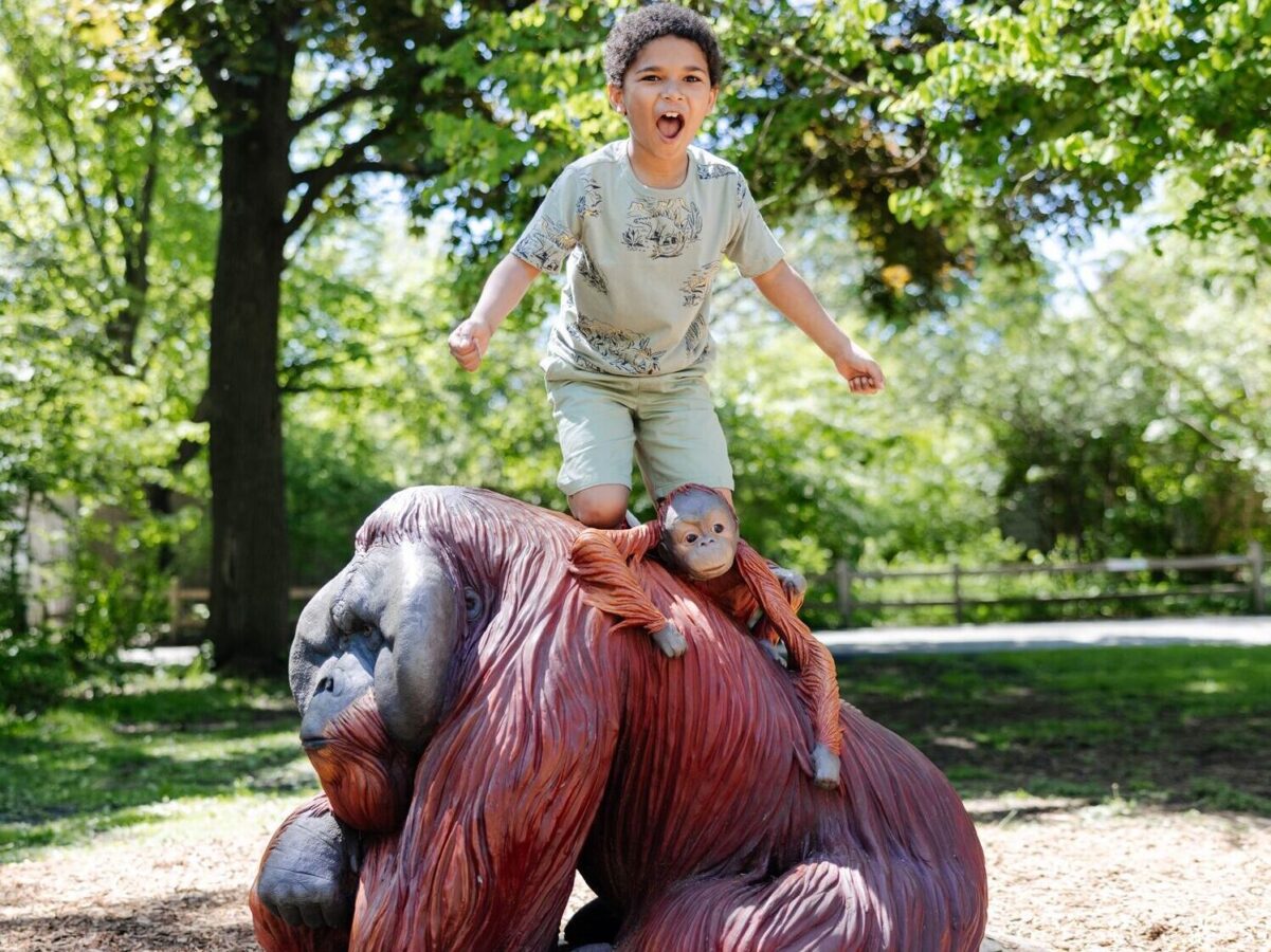 Wildlife Rescue Detroit Zoo