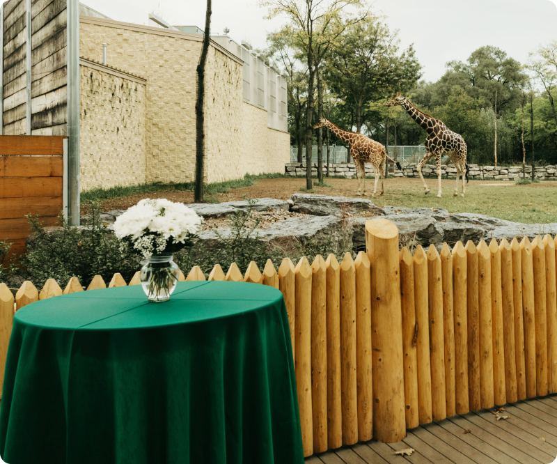 Giraffe Plaza