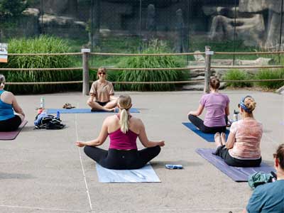 Summer Yoga at the Zoo