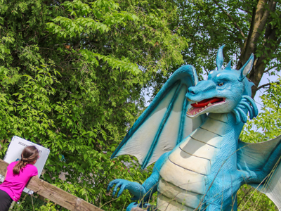 Dragon Forest