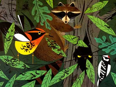 Charley Harper&#8217;s Natural World