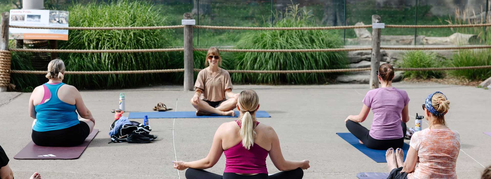 Summer Yoga at the Zoo
