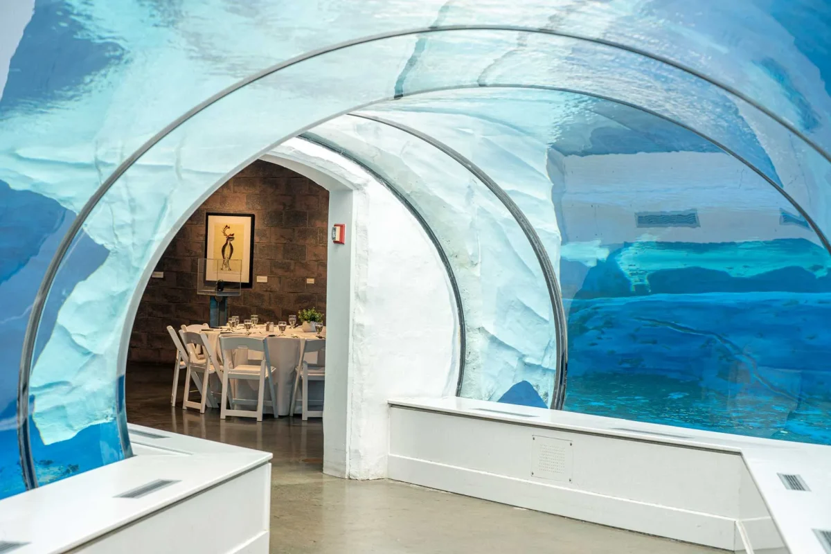 Polar bar venue in tunnel under the water