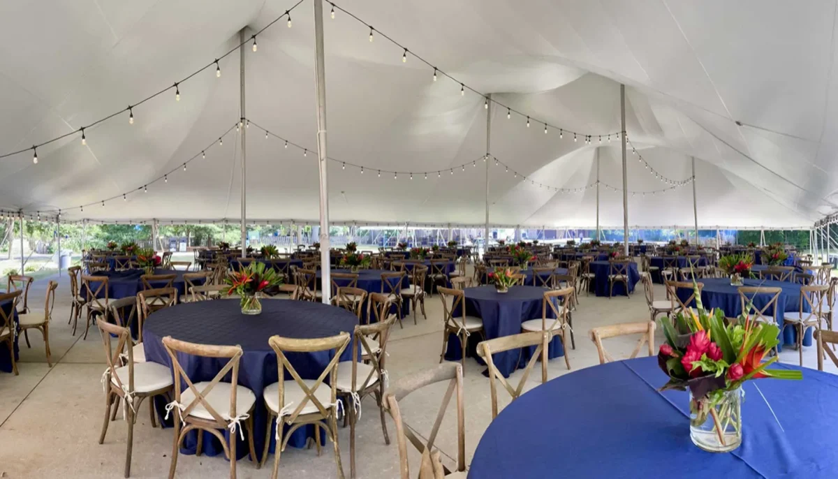 String light in an enclosed venue space