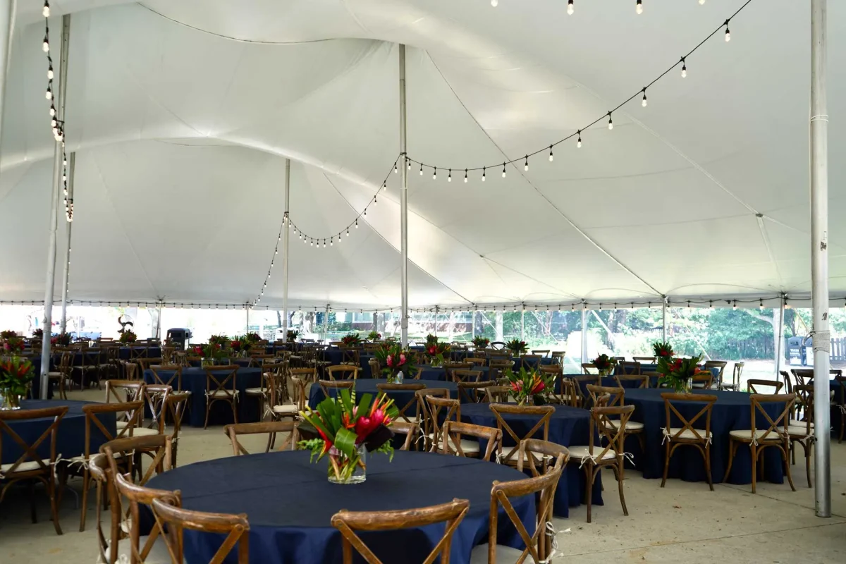 String light in tent canopy