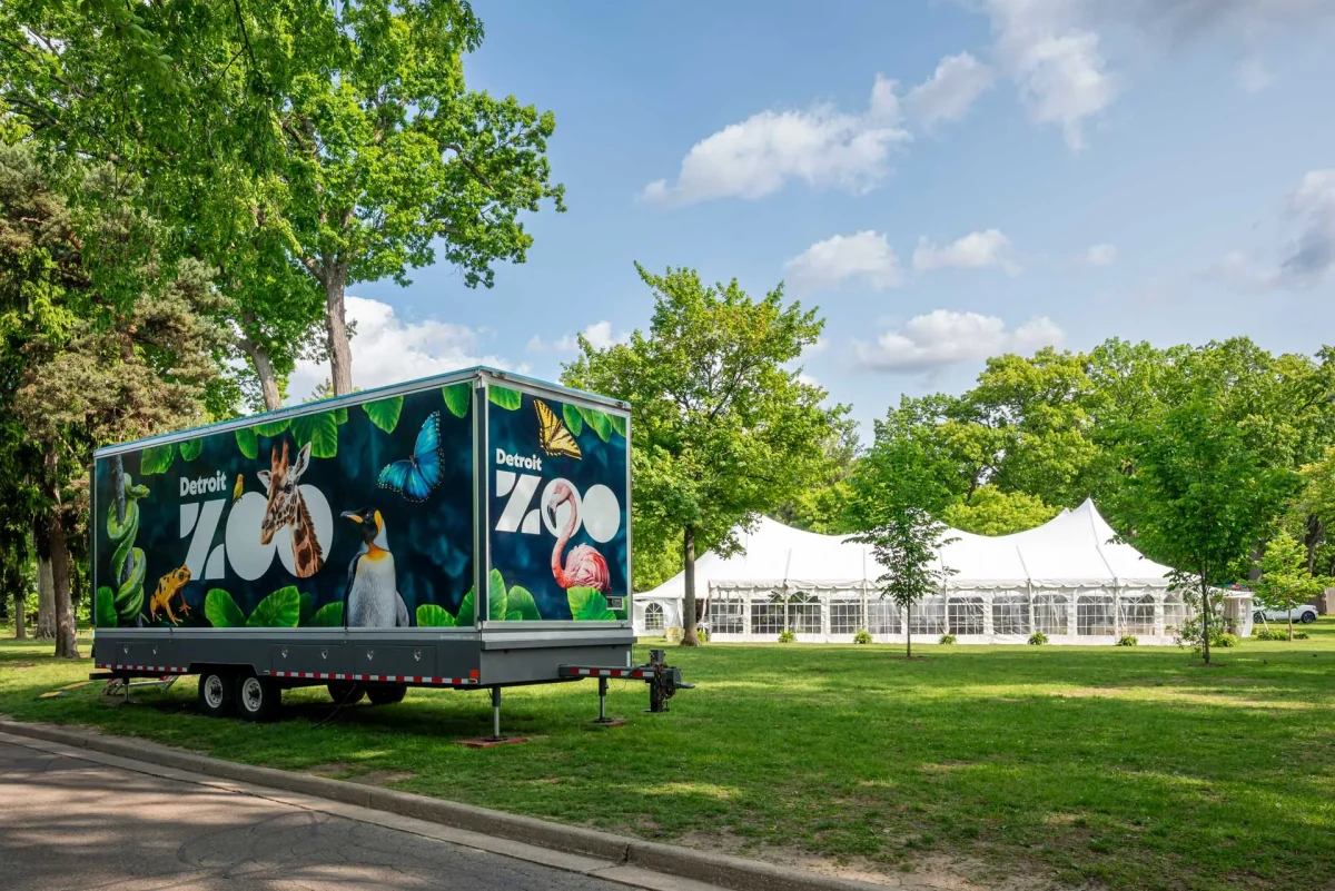 A tent on a sunny day