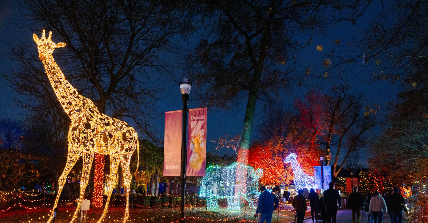 Artwork published for Wild Lights