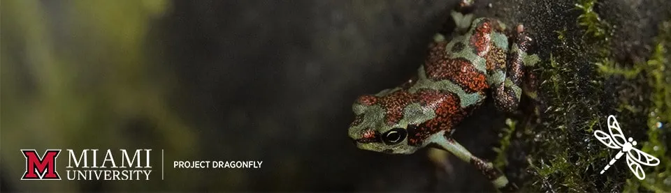 Miami University Project Dragonfly