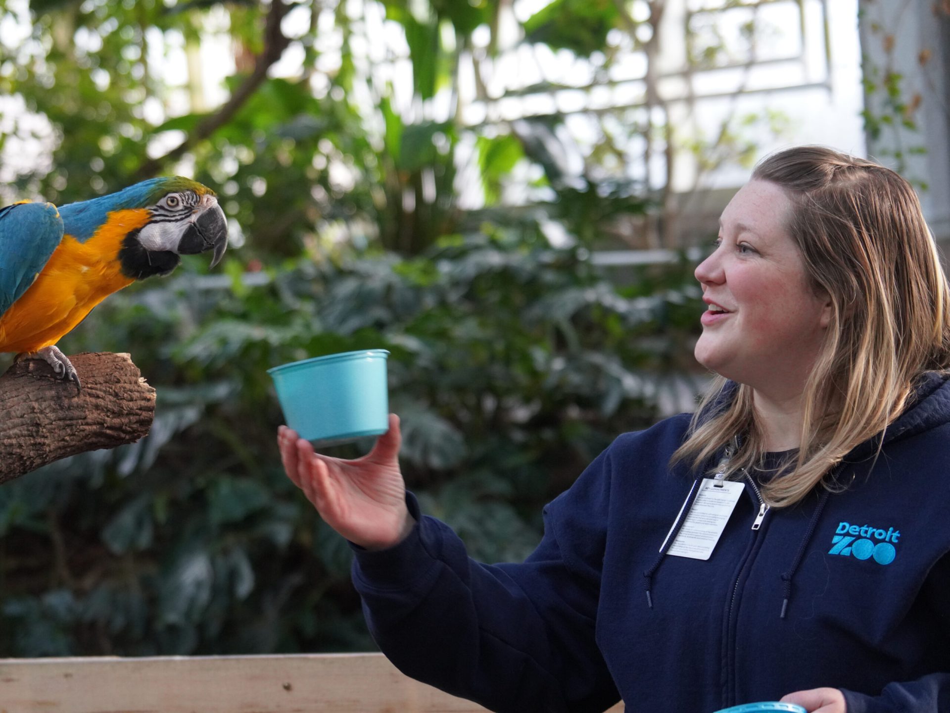 Ask the Expert: An Interview with Bird Supervisor Lindsay - Detroit Zoo