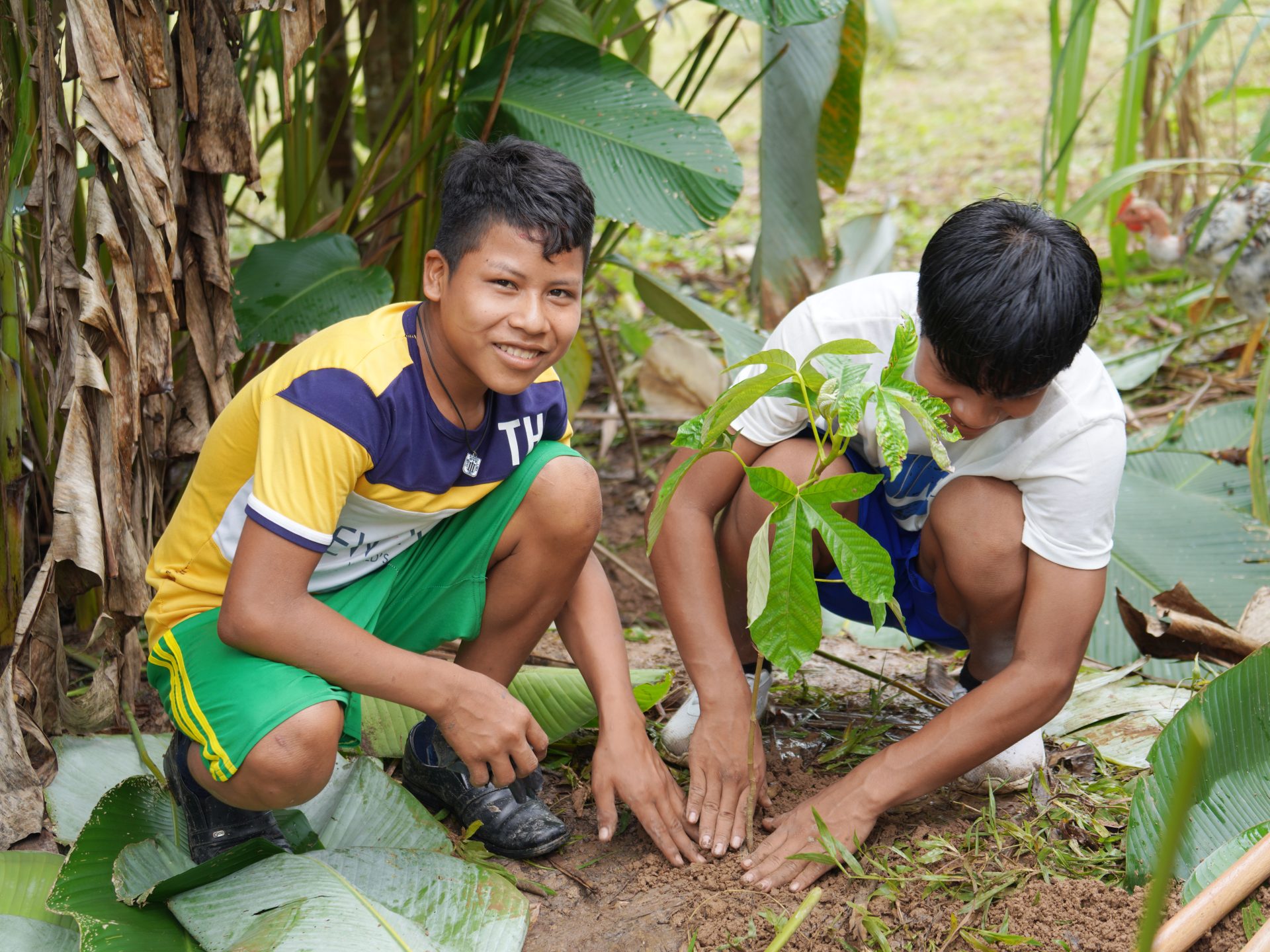 Jungle Journey: DZS Team Working in Peru to Promote Education and ...