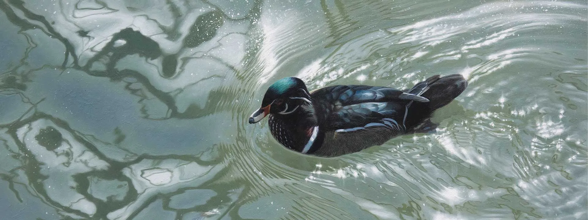 Birds in Art - Detroit Zoo