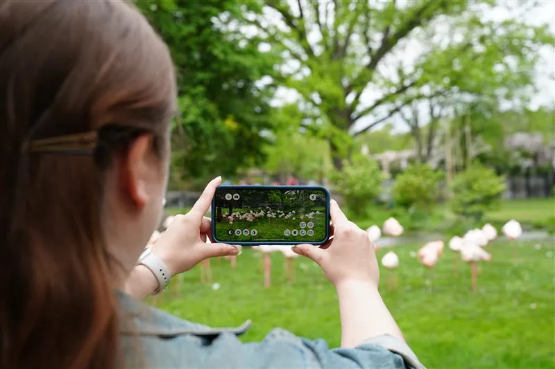 rebokeh app