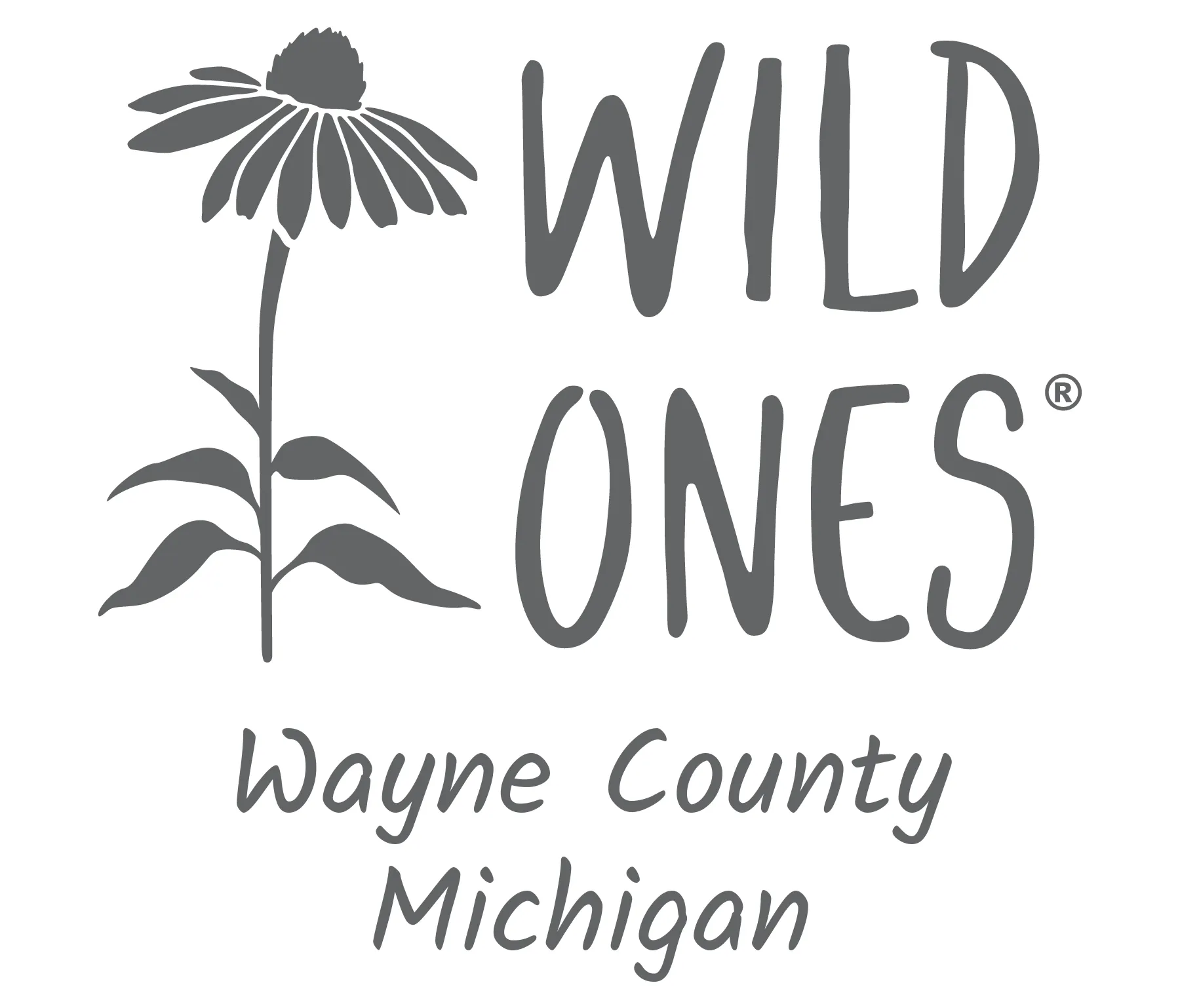 Belle Isle Conservancy